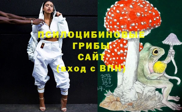 бошки Абаза
