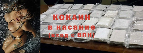 стаф Осташков