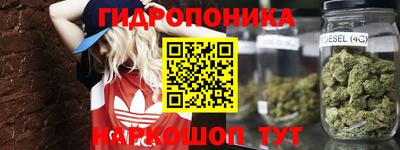 apvp Партизанск