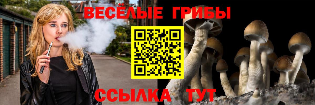 Псилоцибиновые грибы Cubensis Алапаевск